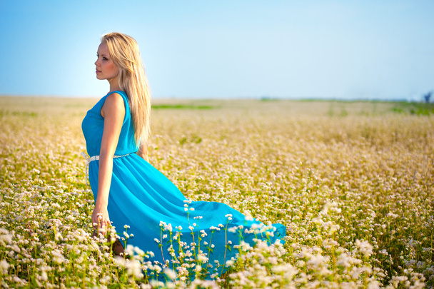 Beautiful woman wearing blue dress on a field - Photo, image