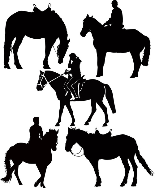 Equestrian sport - Vector, Image