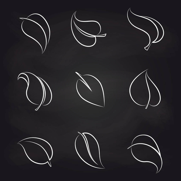 Outline leaves icons on blackboard - Vector, Image