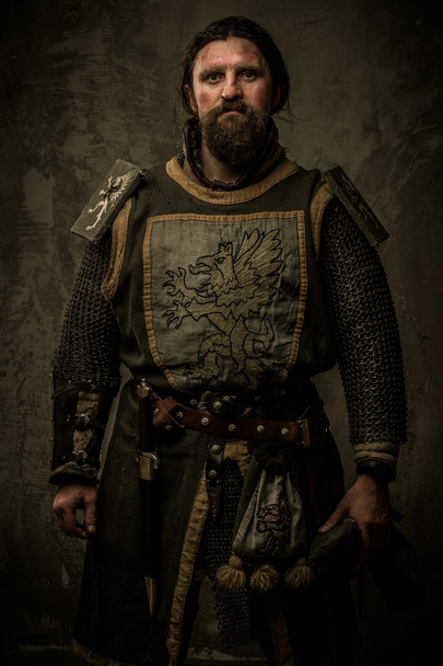 Medieval knight - Foto, Bild
