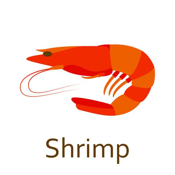Shrimp. Seafood flat icon. Vector illustration. - Vector, Image