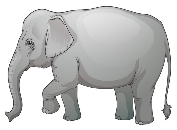 Elefante asiático
 - Vetor, Imagem
