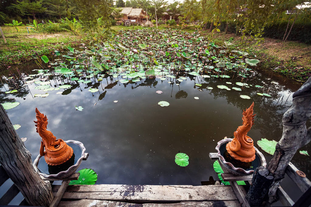 Beautiful pond with lotus in Thailand - Fotoğraf, Görsel