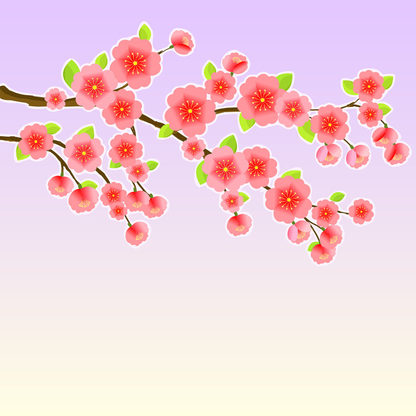 Japanese Sakura Cherry Tree - Vector, imagen