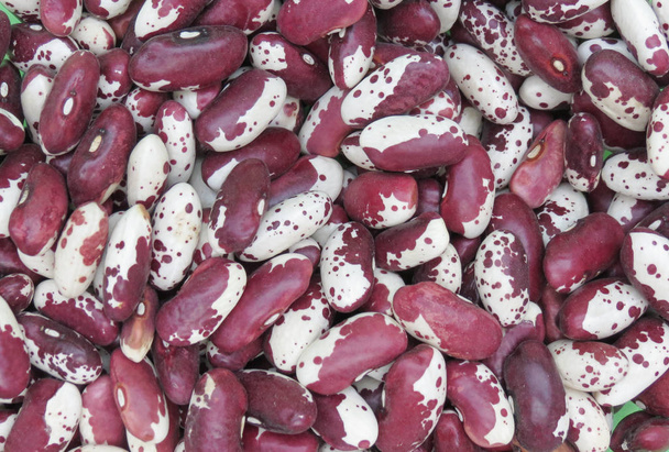 Red and white pea beans (Phaseolus vulgaris) food - Fotoğraf, Görsel