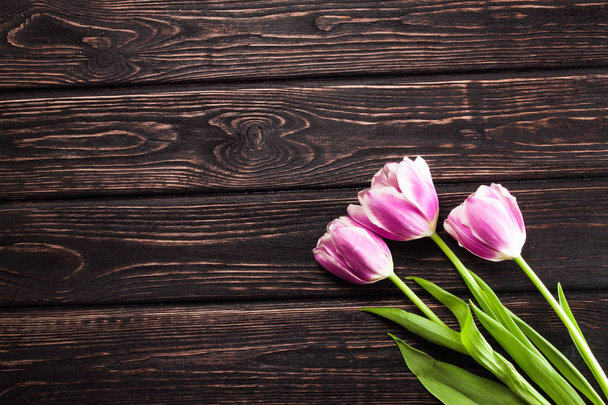 Fresh tulip on wood desk - Фото, изображение