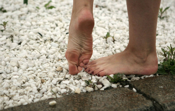 hermosos pies desnudos puntiagudos - Foto, Imagen