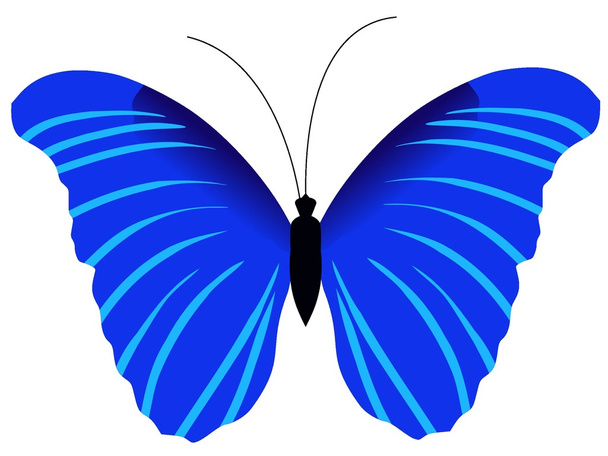 Motyl - Wektor, obraz