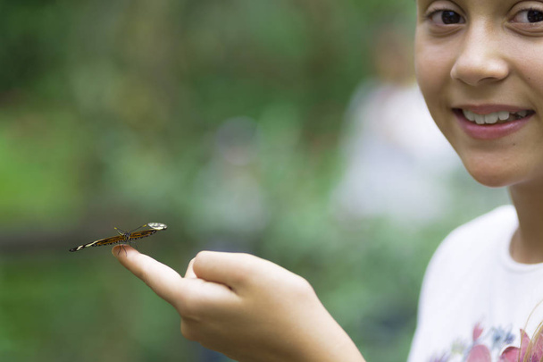 Happy Girl Holding a Butterfly - Φωτογραφία, εικόνα
