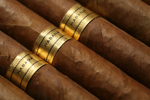 Havana Cigars Texture - Foto, imagen