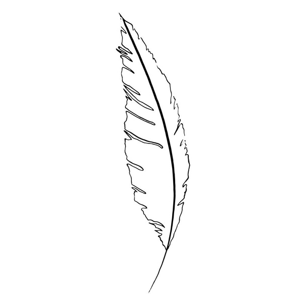 Monochrome black and white bird feather vector sketched art - Vektör, Görsel