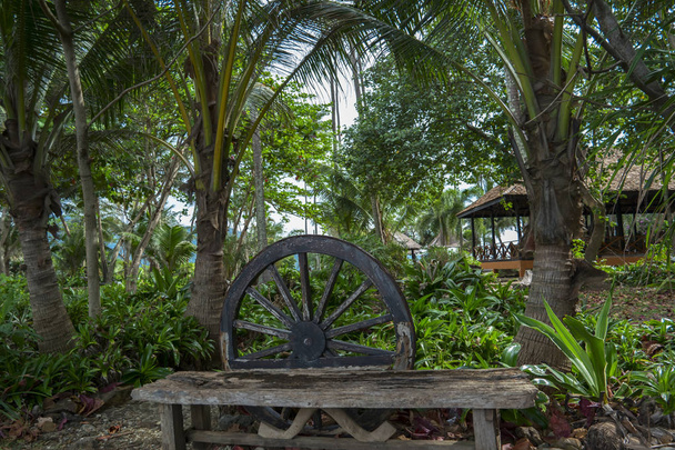 Bench in the Shady Garden - Foto, afbeelding