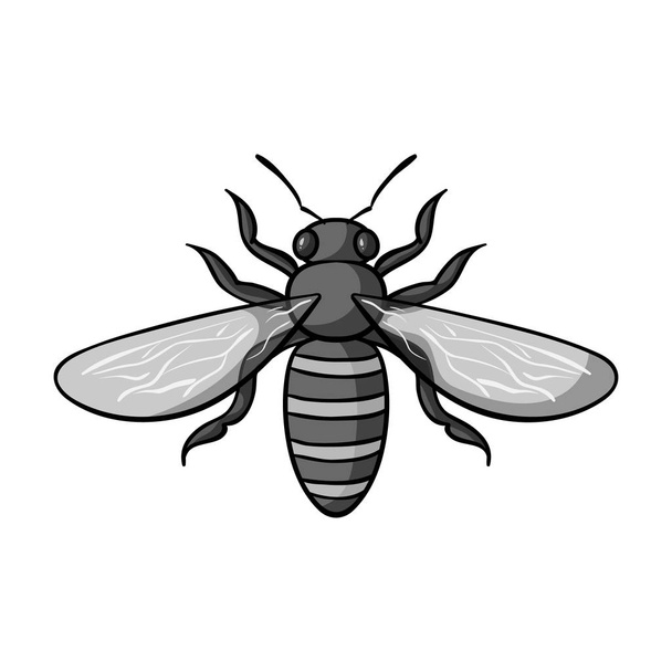 Icône d'abeille dans un style monochrome isolé sur fond blanc. Illustration vectorielle du symbole d'insectes
. - Vecteur, image