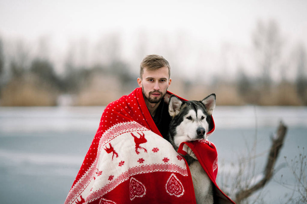 アラスカン ・ マラミュート犬と若い男が毛布に包まれて - 写真・画像