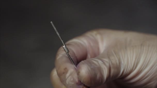 Tätowiermeister bereitet sein Instrument auf hygienisch sterile und saubere Arbeitsgeräte vor - Filmmaterial, Video