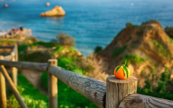  Orange auf einem Holzzaun am Meer - Foto, Bild