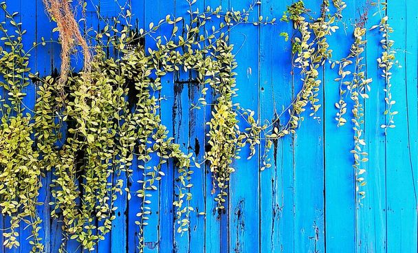 Rustic old wall background  - Photo, image