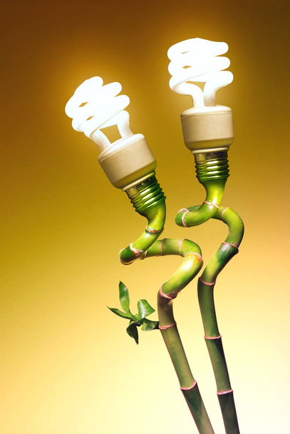 twee economie lampen als bloemen - Foto, afbeelding