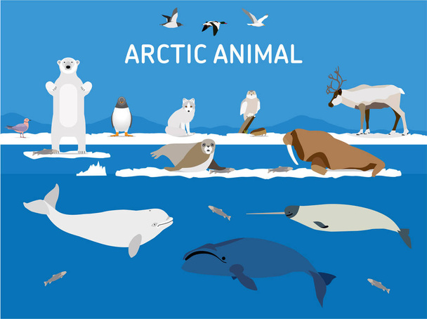 Animals of the Arctic. Flat style illustration - Vetor, Imagem