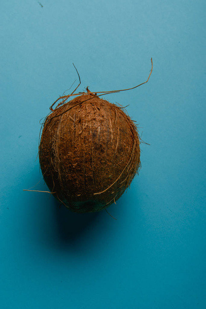 Coconut isolated on blue Background - Foto, Bild