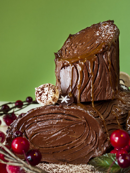 Gâteau de bûche de Noël
 - Photo, image
