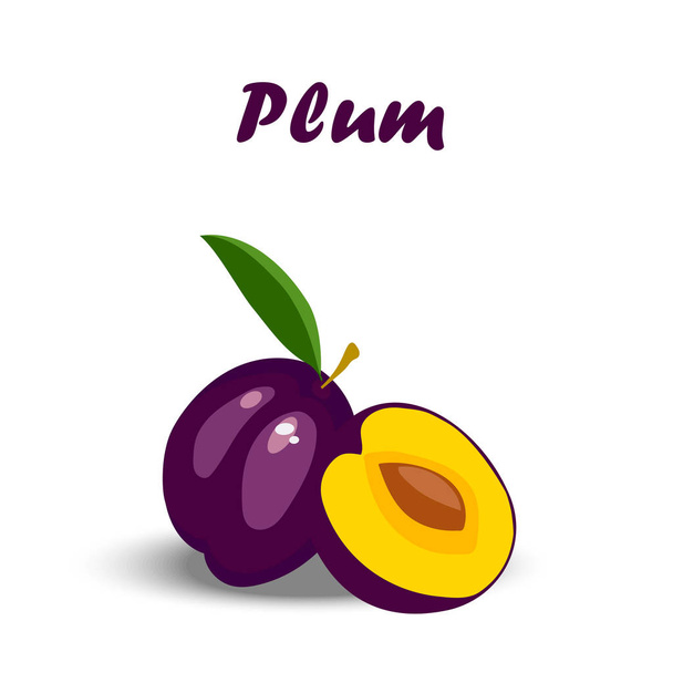 fresh plum and slice - ベクター画像