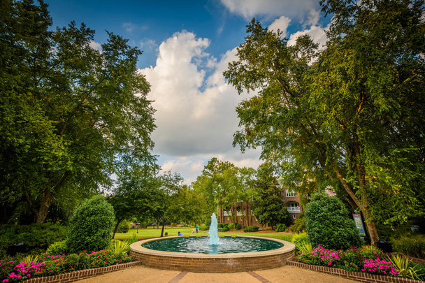 Fountain and gardens at Fourth Ward Park, in Charlotte, North Ca - Foto, imagen