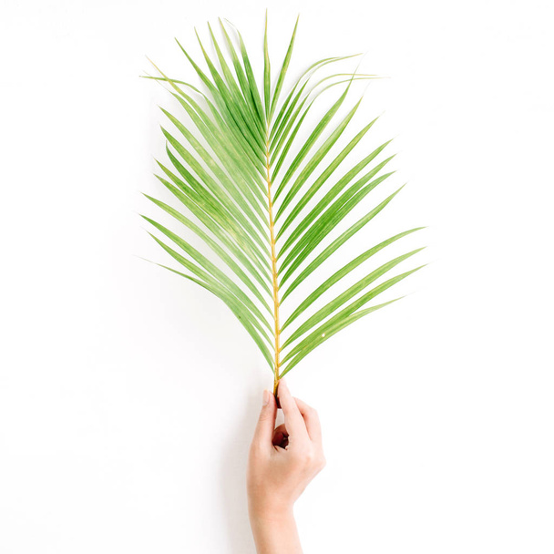 beautiful palm branch in girl's hand  - Zdjęcie, obraz
