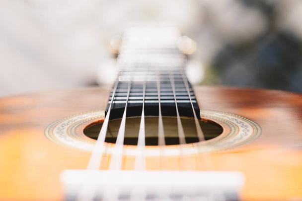 Acoustic guitar bridge and strings close up - Photo, Image