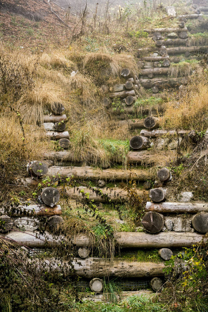 Vieux marches rustiques en bois vers le haut d'une colline herbeuse
 - Photo, image