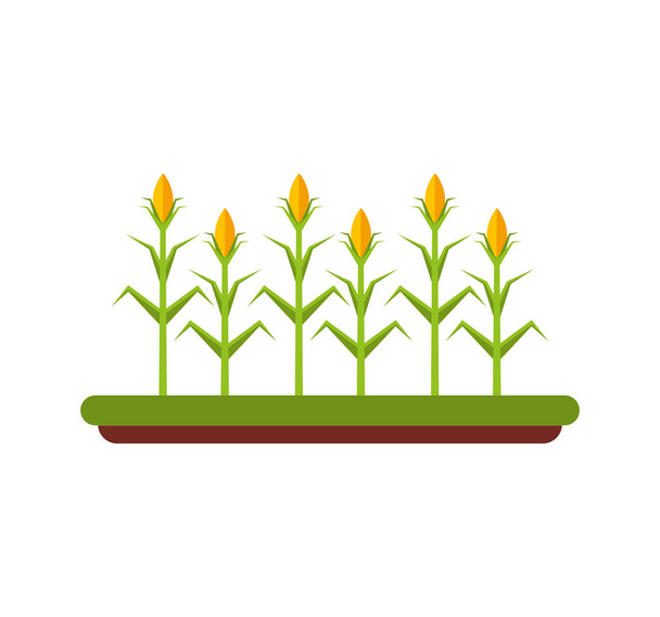 agriculture cultive isolated icon - Vector, Image