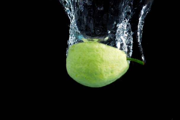 Guava into the water - Fotó, kép