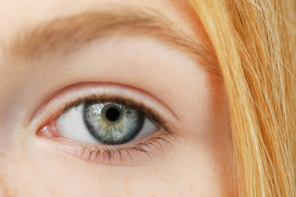 Closeup of beautiful girl's eye - 写真・画像