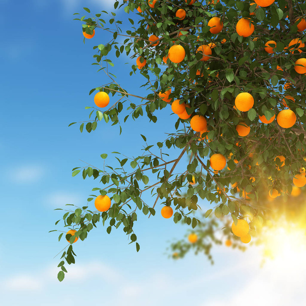 Portakal ağacı 3d render - Fotoğraf, Görsel