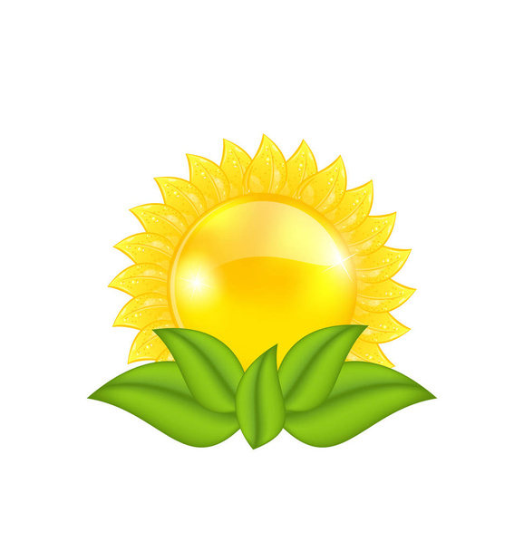 Abstract sun with green leaves, isolated on white background - Foto, Imagem