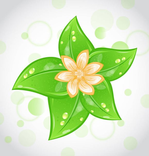 Cute eco background with green leaves and flower - Фото, изображение