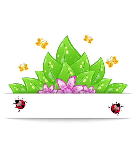 Eco friendly card with green leaves, flower, butterfly and ladyb - Foto, Imagem