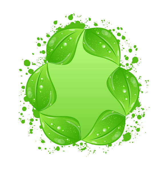 Green eco leaves label isolated on white background - Photo, Image