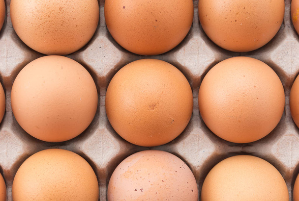 hen eggs with panel on whitebackground - Foto, Bild