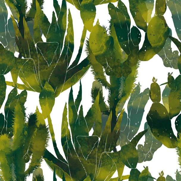 cactos de acuarela verde
 - Foto, imagen