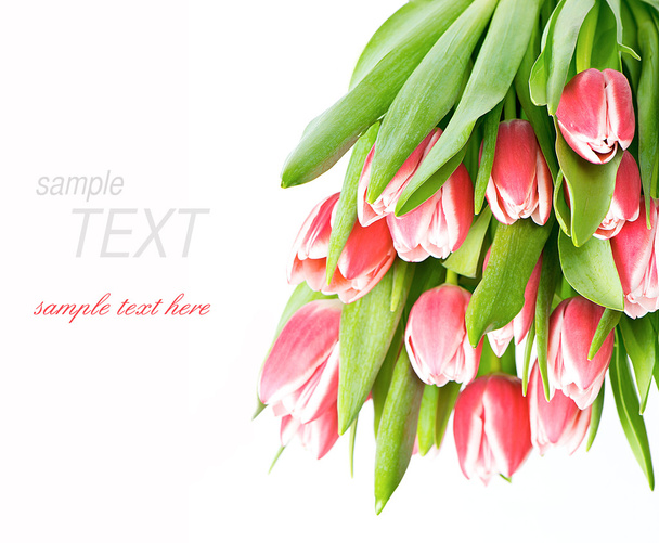 spring pink tulip flowers - Zdjęcie, obraz