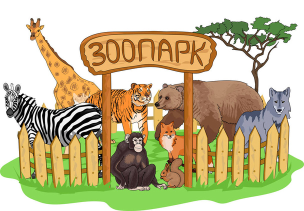  Zoo zwierzęta profilu - Zdjęcie, obraz