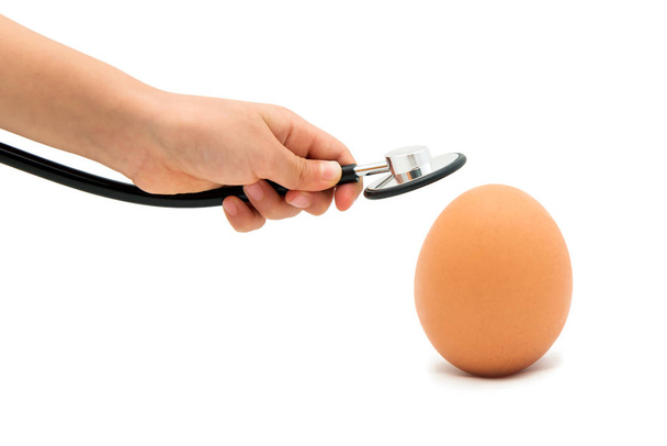 Sprawdzanie dla zdrowych jaj, jaj z stetoskop z białym tłem. - Zdjęcie, obraz