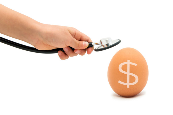 Checking For A Healthy Egg, Egg with Stethoscope with white background. - Photo, Image