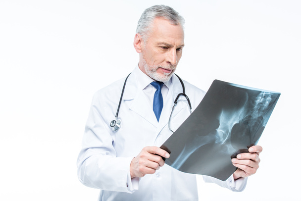 Dokter kijkt naar röntgenfoto  - Foto, afbeelding