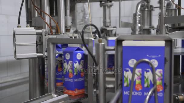 酪農工場で牛乳ボクシング機器 - 映像、動画