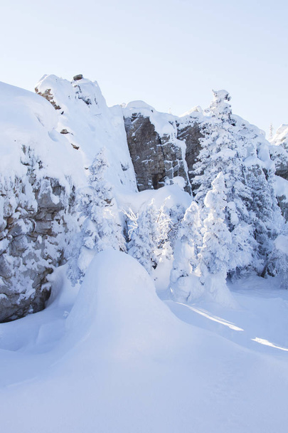 A neve cobriu abetos e rochas. Montanha Zyuratkul, terras de inverno
 - Foto, Imagem