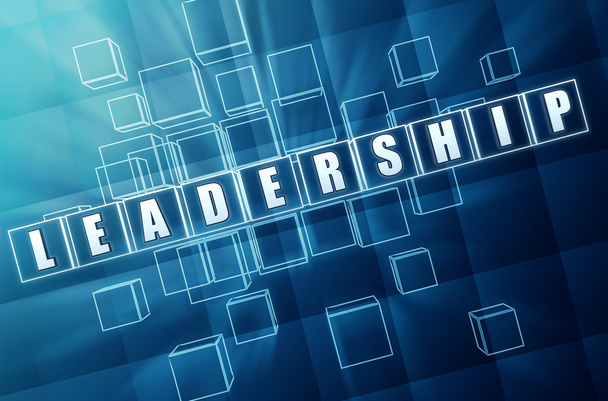 Blue leadership in glass blocks - Photo, Image