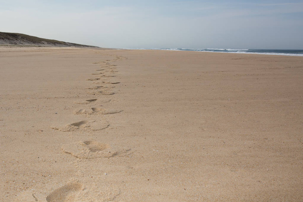 paisagem de praia de areia de oceano bordo
 - Foto, Imagem