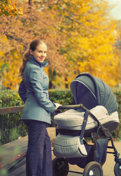 秋の散歩に pram を持つ若い母親 - 写真・画像